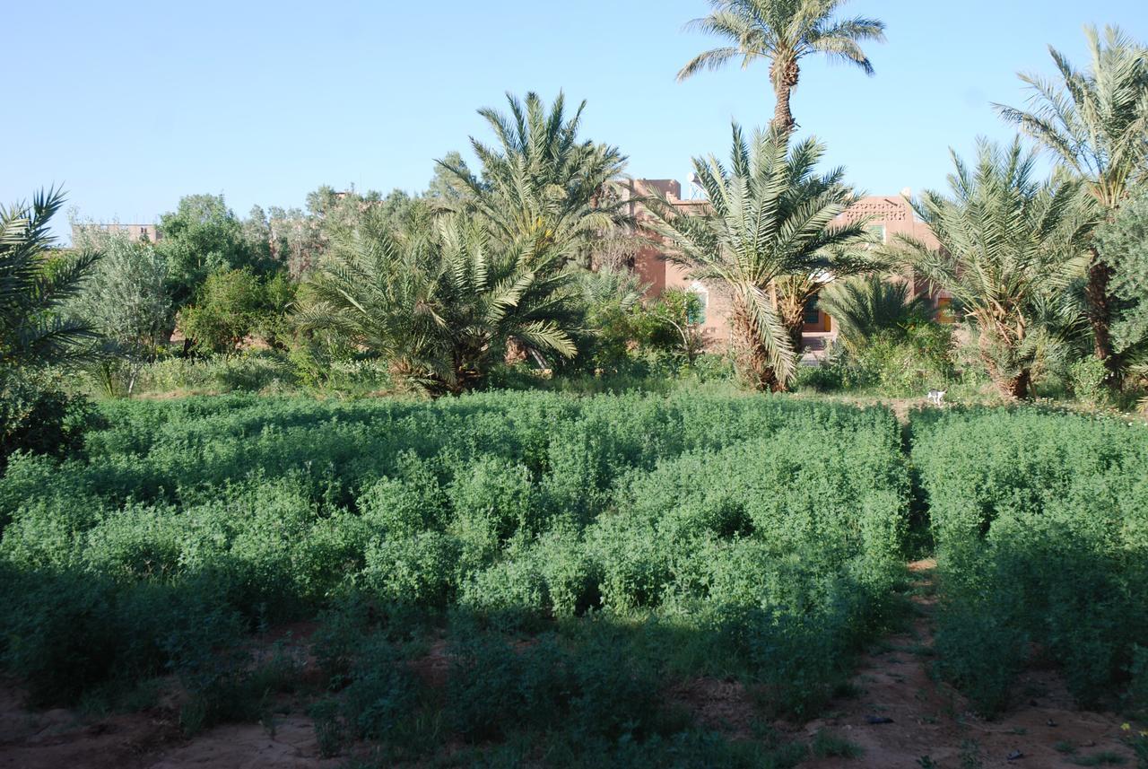 D'Hote Jnane-Dar Diafa Tamgrout Luaran gambar